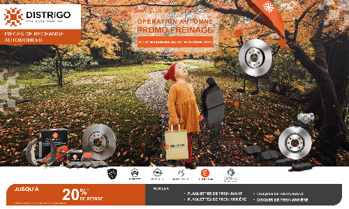 OFFRES PROMOTIONNELLES D'AUTOMNE : PROMO FREINAGE